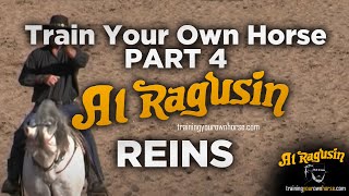 Train Your Own Horse Part 4 — Collection Reins: Why Your Current Setup May Be Failing You