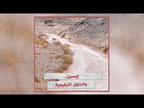 «تحقيقات»: سيول إيسن والحلول الترقيعية