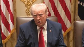 Trump explodes at Germany for ‘inappropriate’ statement about Iran war 