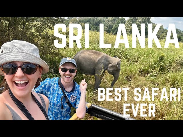 Travel vlog - SRI LANKA | Safari, surfing, scams & storms