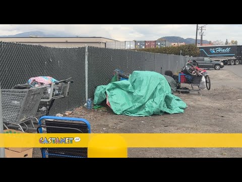 Kelowna Vet Hospital at breaking point: fires, vandalism and daily danger