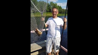 Рыбалка озеро медвежье ленинградская область