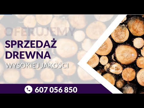 Zobacz filmy filmy