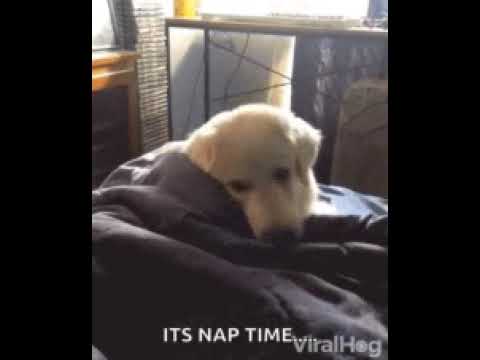 plz #like#and #subscribe my channel tq