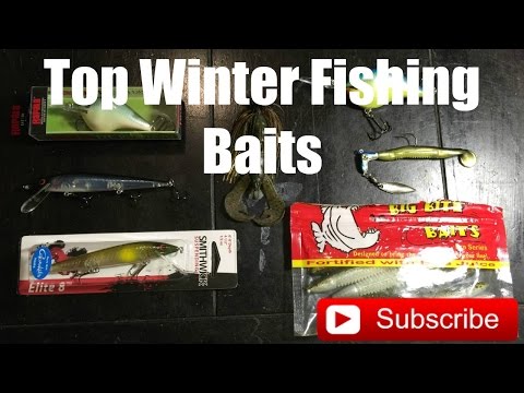 Top Winter Fishing Baits !! | Bassinwithzach