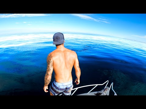 REMOTE ISLAND TRIP Marine Creature Numbers Have INCREASED Covid-19 Restrictions (Part 1) - Ep 190