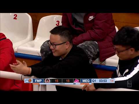 ABA Liga 2018/19, Round 13 match: FMP - Mega Bemax (28.12.2018)