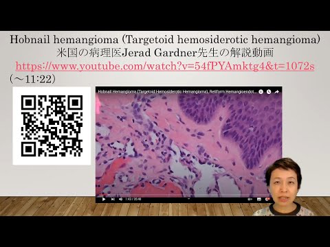 ハビオネリ科について詳しく解説