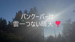 秋のNorthバンクーバー、散歩しながら1日中ひたすら飲み食いした時の動画