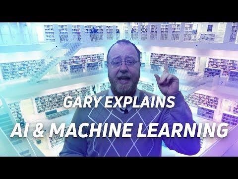 Artificial Intelligence vs Machine Learning - Gary explains
