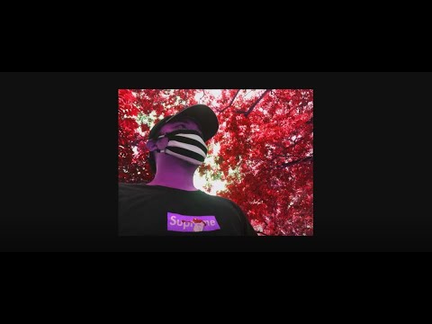 LEXY$ - Quarantips | Official music video (prod.midsummer)