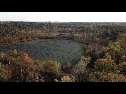 Restaurierungsarbeiten im Venner Moor