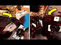 The BEST ROBLOX GORE GAME NEW