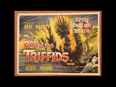 Decimal Bass & Profile - Foundation