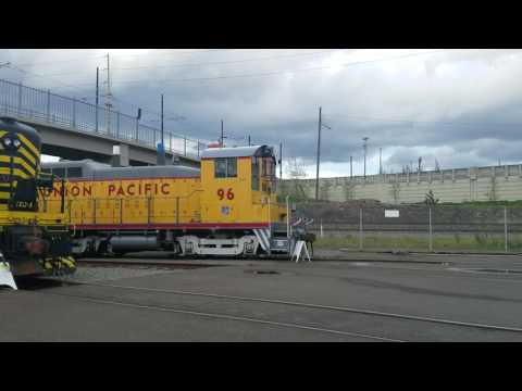 Only catch of the week