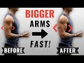 Dumbbell Arm Workout For Bigger Biceps Defined Triceps
