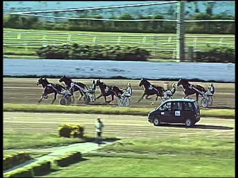 trotto 28/05/2015 - 6° corsa