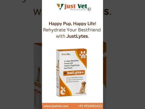 Pet Rehydration Formula with Vitamin-C Rapid Energy Base Powder, 250 ml, Packaging Type: Pack