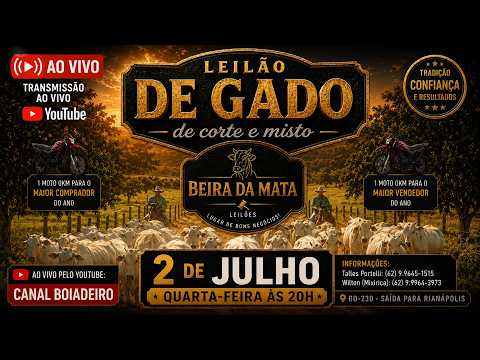 Beira da Mata Leilões - Uruana GO - Leilão de Gado de Corte em Goiás @canal.boiadeiro #live #gado