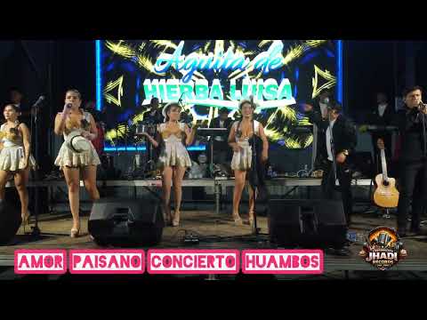 Amor Paisano Concierto En Vivo / Aguita De Yerba Luisa / Cajamarca / Chota - Huambos 
