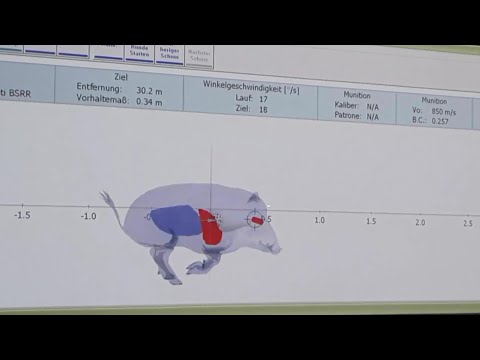 Schießkino Jagd-Vorbereitung Vorhaltemaß Drückjagd und Flüchtigschießen im Jagd-Zentrum-Alsfeld.