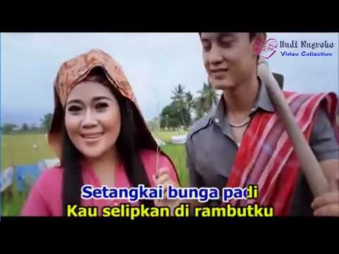 Nonstop Senam Disco Dangdut full album Rani Chania