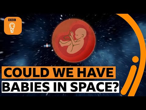 人類能在太空中繁衍後代嗎？| BBC 創意 (Can humans reproduce in space? | BBC Ideas)