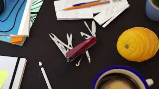CyberTool Lite