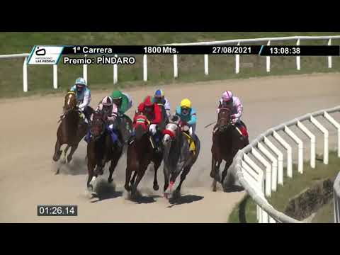 210827 c01 - NAVENIDA (BRZ) - HIPODROMO LAS PIEDRAS