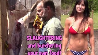 Slaughtering hogs rant. Farmer tells it like it is about killing for food.