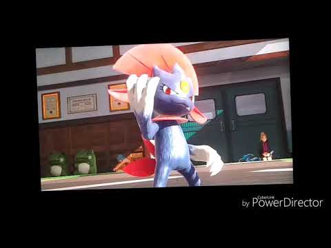 Gamer's Championship: Gaming Freak vs Horror Bear ( Pokken Tournament DX)