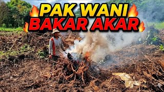 Download lagu TAKING ADVANTAGE OF THE HEAT TO FINISH BURNING THE ROOTS mp3
