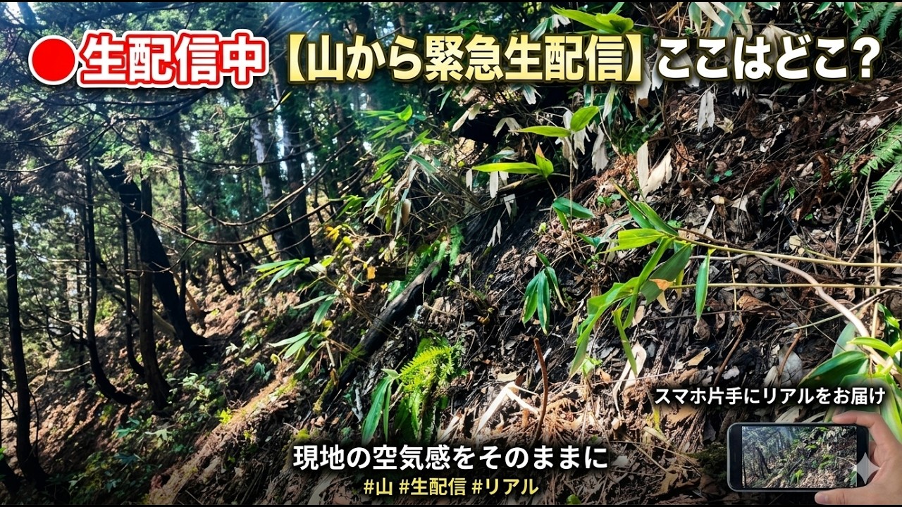 しまきちsky TV がライブ配信中！