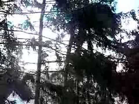 Windy Day in Syracuse, New York