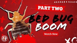 How We Kill Bed Bugs... Permanently! | Around Town
