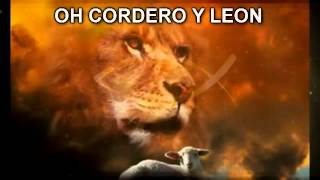CORDERO Y LEON NEW WINE LETRA
