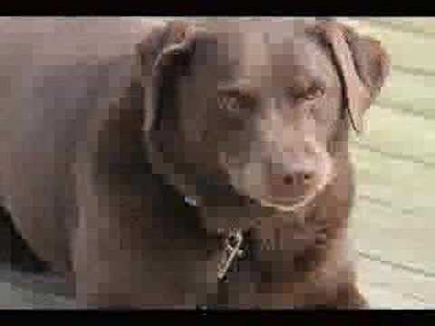 No Mac, No Cheese - Episode 2 Exposure Compensation