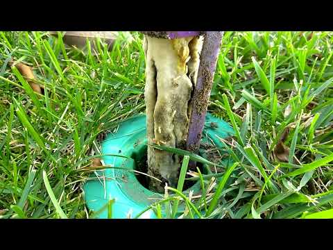 How Our Termite Bait Stations Work in Barnegat, NJ