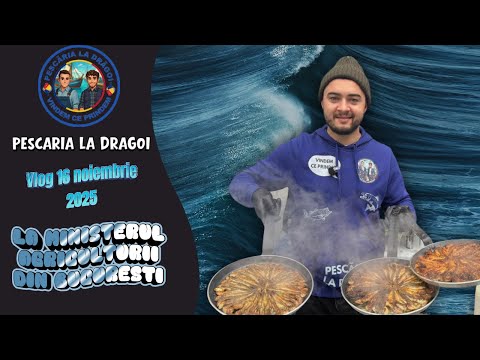 CE NEBUNIE! 3 zile la Festivalul de Pește: prindem, gătim, vindem și râdem fără oprire!