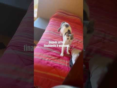 POV: è sabato mattina e senti profumo di weekend! ✨