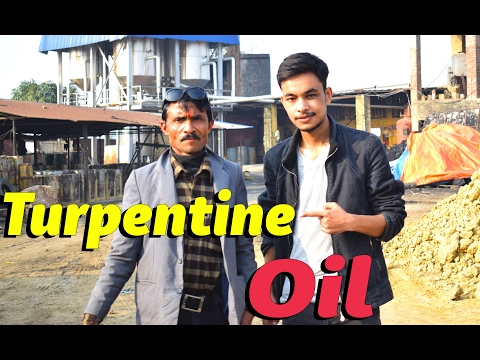 How the Turpentine Oil is Made