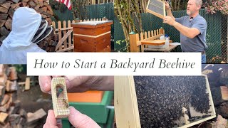 How to start a backyard beehive 🐝how to hive bees for beginners