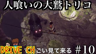 人喰いの大鷲トリコ 【DRIVE CH】#10