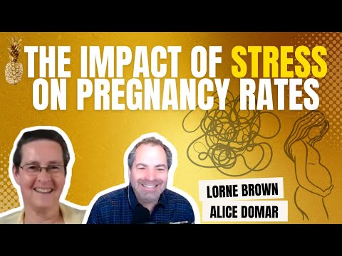Does Stress Cause Infertility? With Dr. Alice Domar // The Conscious Fertility Podcast