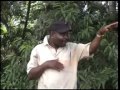 Phungu Joseph Nkasa Chilungamo