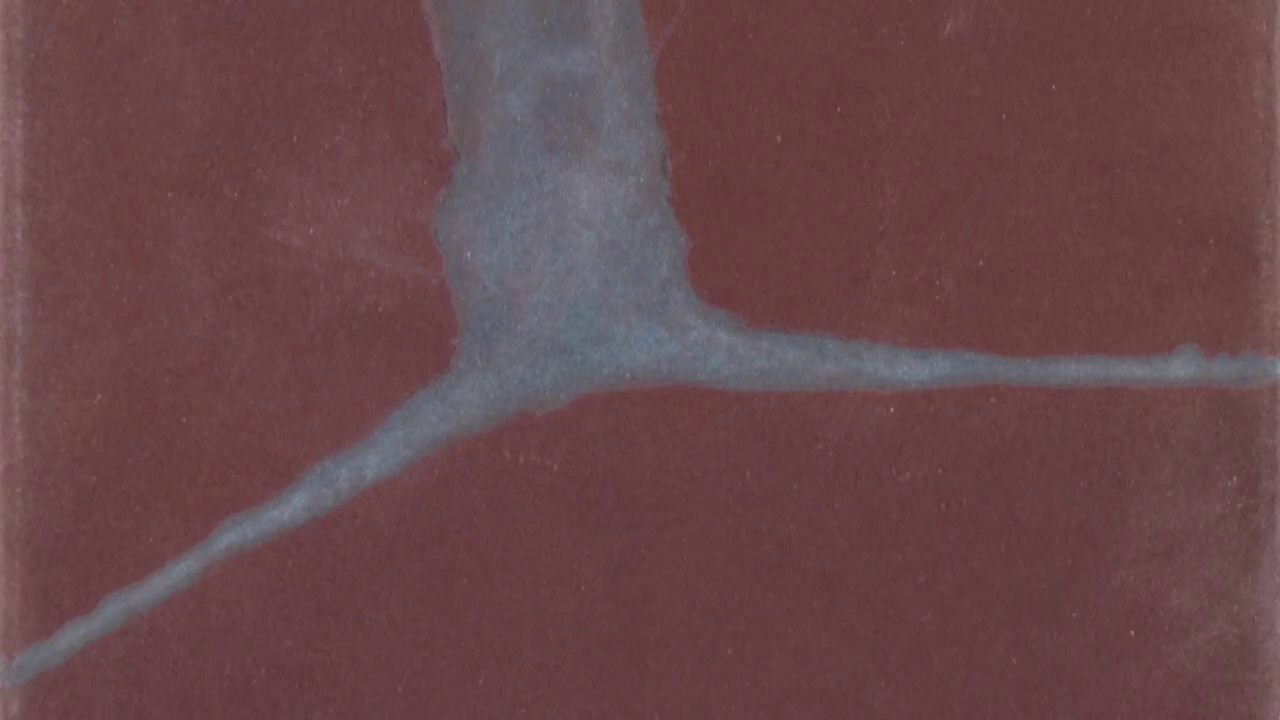 Trailer | Traces of a Landscape | Petr Zaruba