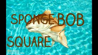 Spongebob intro
