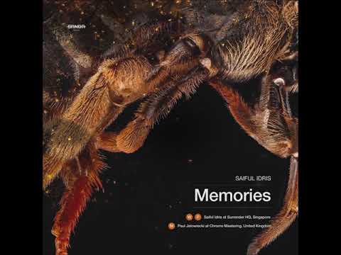 TOTD: Saiful Idris - Memories (SRNDR Records)