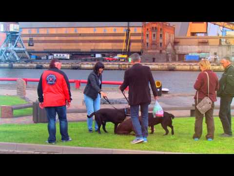 The Castle of the Livonian Order, Ventspils Latvia