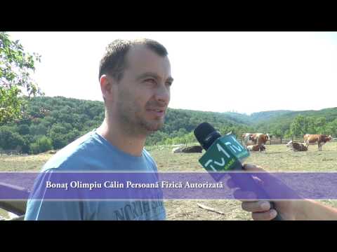 PFA Bonaţ Olimpiu Călin, Valea Vinului - Proiect Achiziţionarea Utilaje Agricole